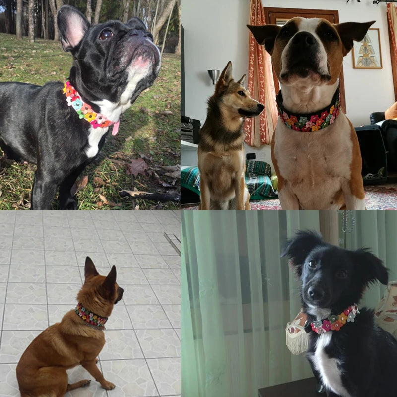 Cute Studded Flower Dog Collar