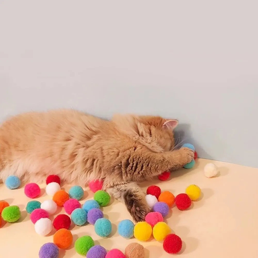 Cat Toy Launcher Set
