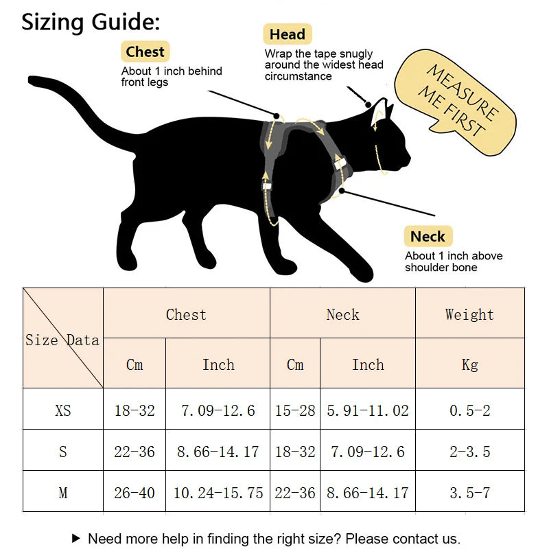 Angel Wings Pet Harness Set