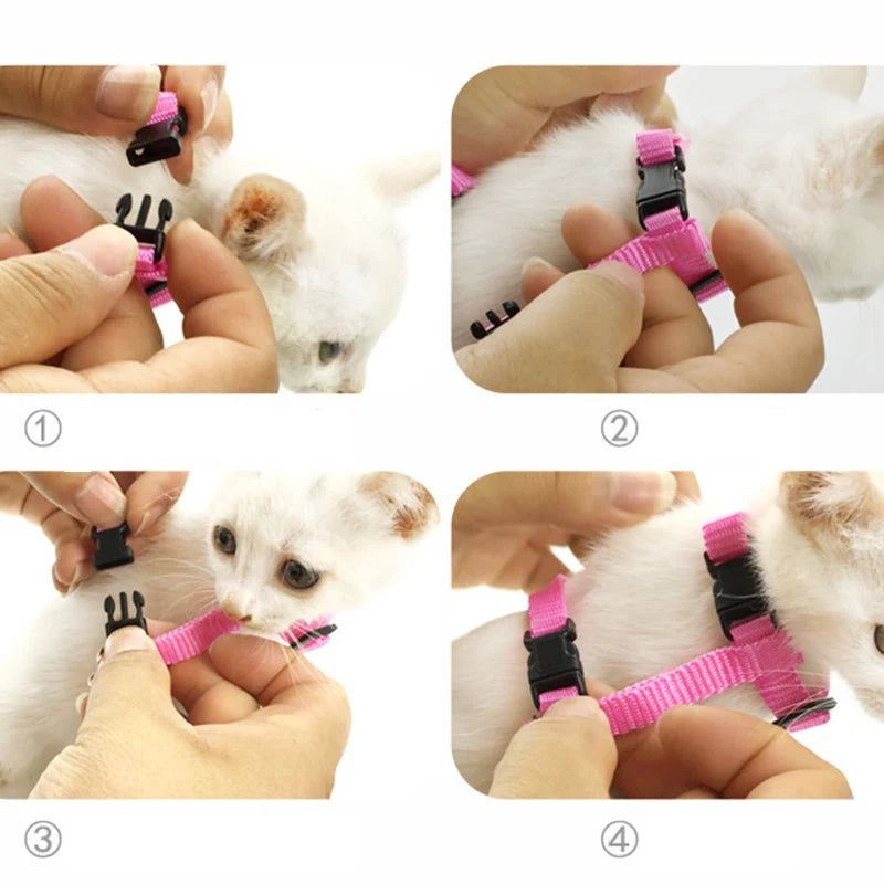 Angel Wings Pet Harness Set