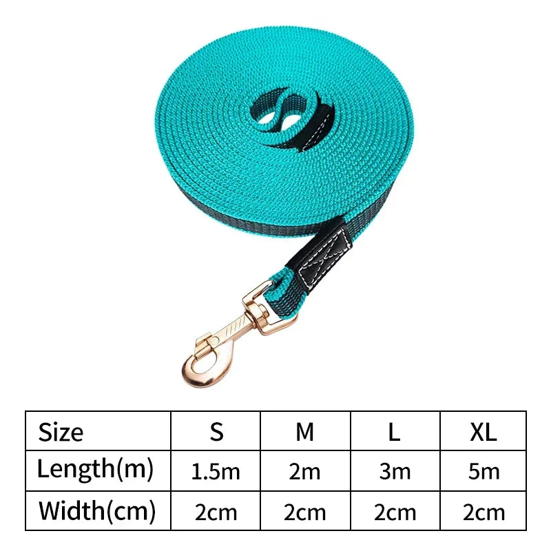 Bright Non-Slip Dog Leash