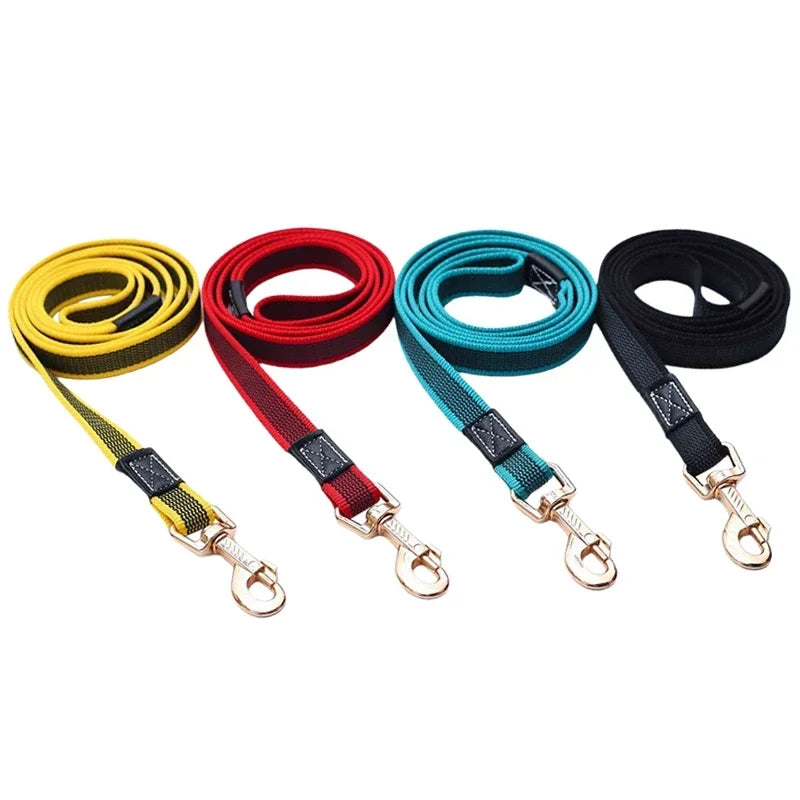 Bright Non-Slip Dog Leash