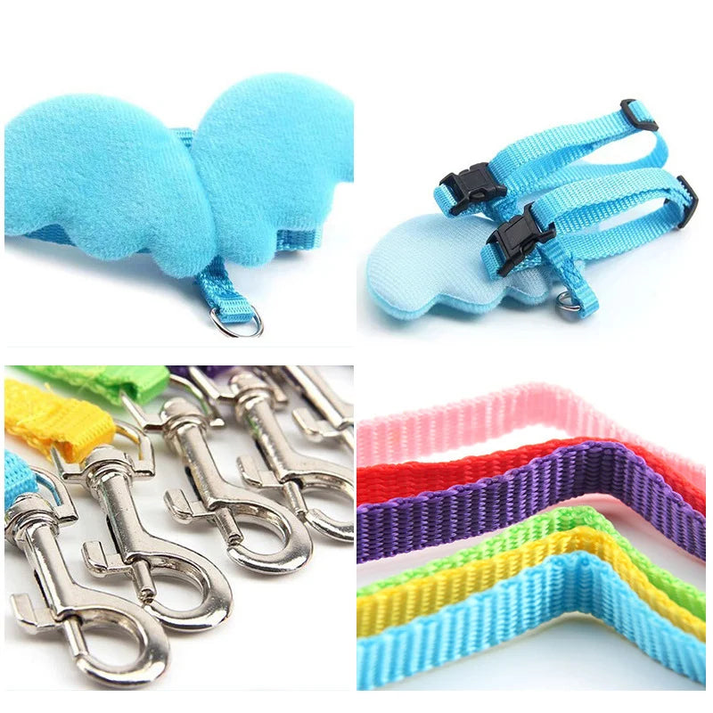 Angel Wings Pet Harness Set