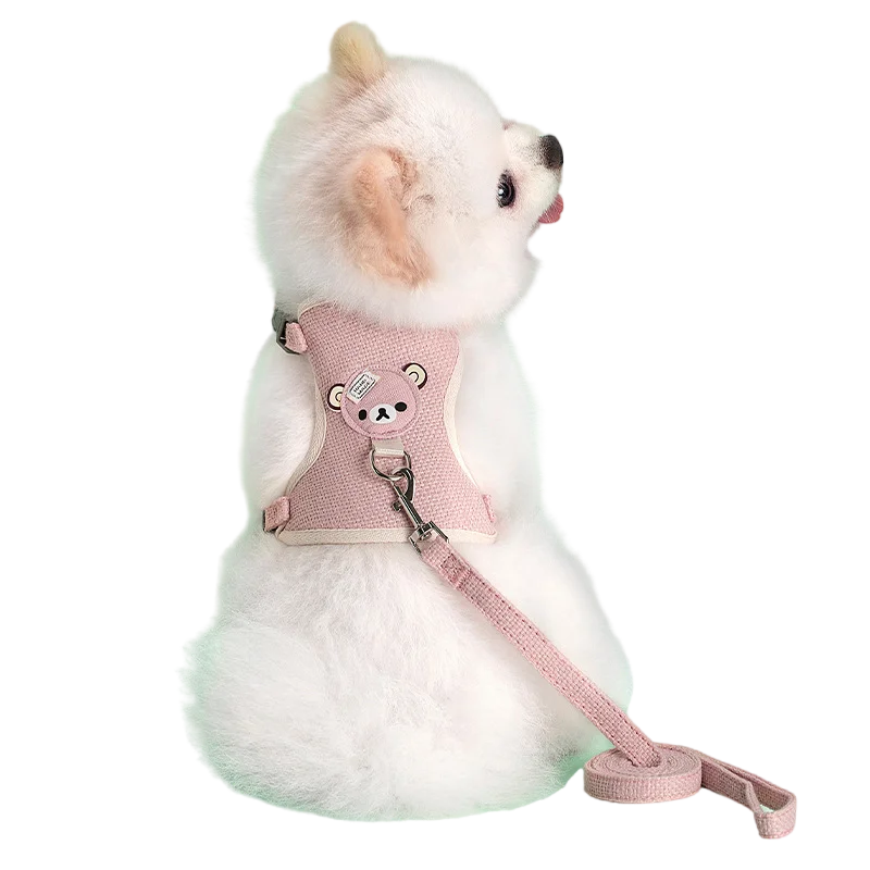 Adorable Pet Harness & Leash