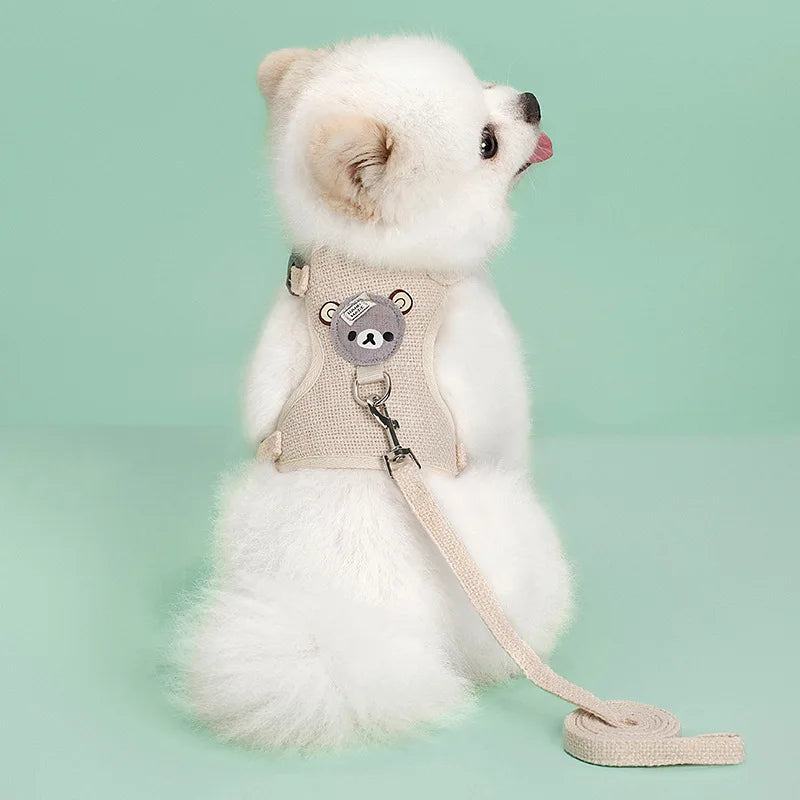 Adorable Pet Harness & Leash