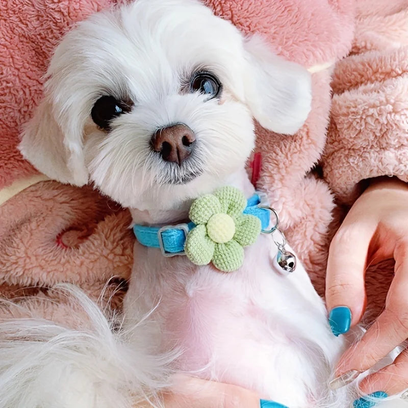 Chic Plaid Cat Collar