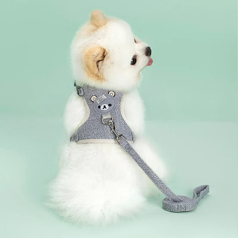 Adorable Pet Harness & Leash