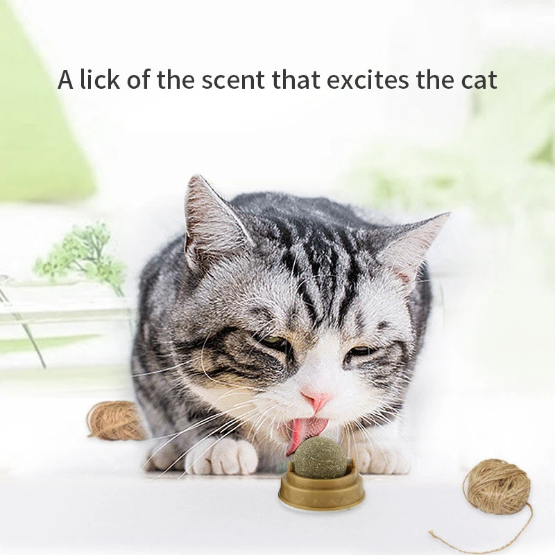 Natural Catnip Wall Ball Scratchers