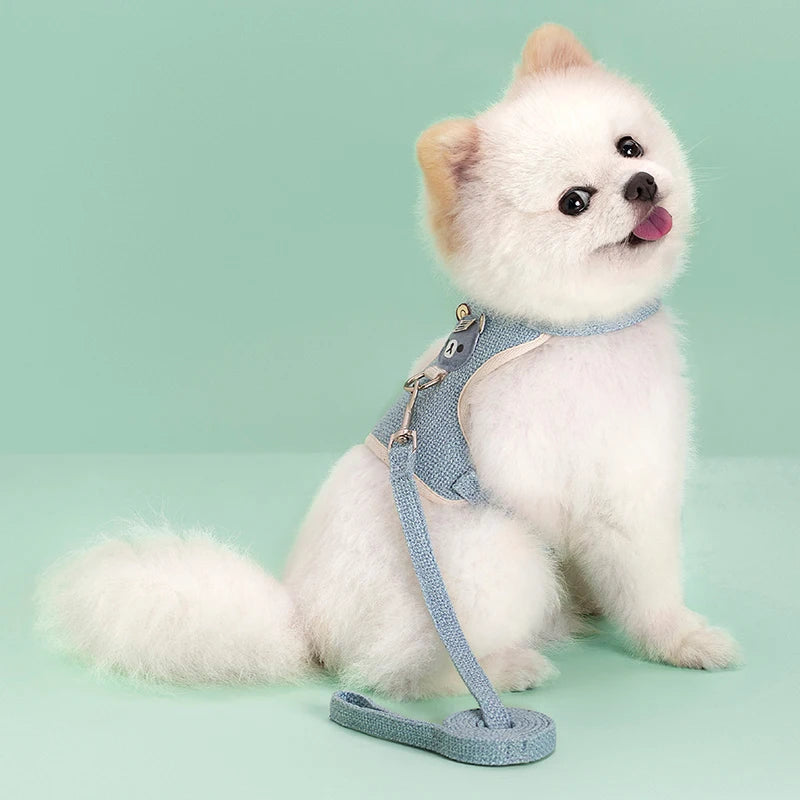 Adorable Pet Harness & Leash