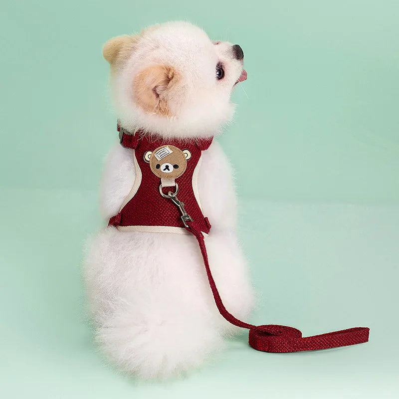 Adorable Pet Harness & Leash